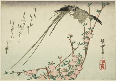 Ptaki z długimi ogonami i kwiaty brzoskwini autorstwa Utagawa Hiroshige