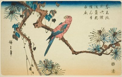 Ara na gałęzi sosny autorstwa Utagawa Hiroshige