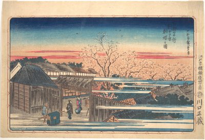 Poranne kwiaty wiśni w Shin-Yoshiwara autorstwa Utagawa Hiroshige