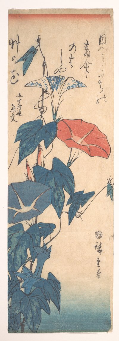 Prunkwinden autorstwa Utagawa Hiroshige