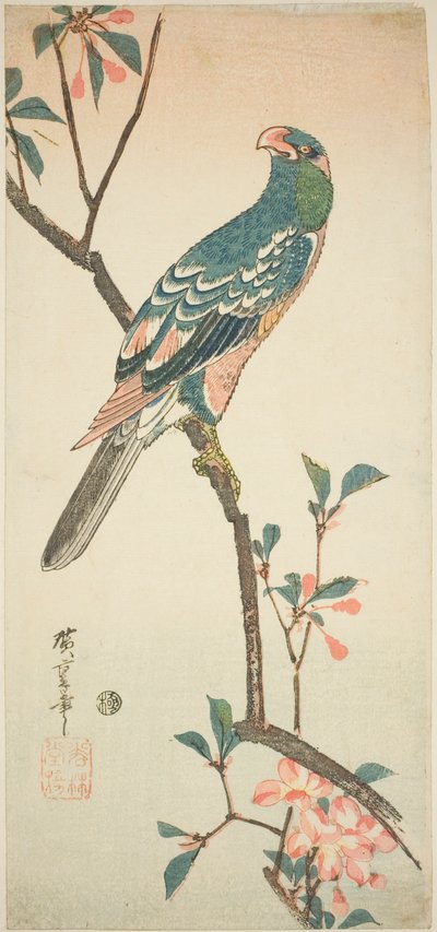 Papuga na kwitnącej gałęzi autorstwa Utagawa Hiroshige