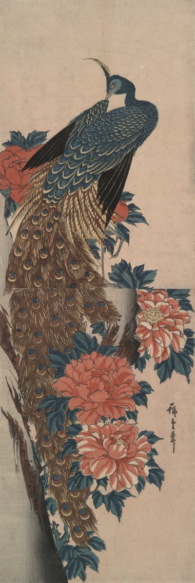 Paw i piwonie autorstwa Utagawa Hiroshige