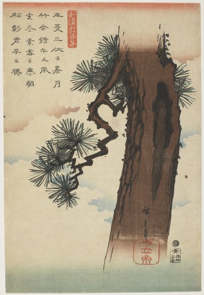 Drzewo sosnowe, 1837-1844 (odbitka barwna) autorstwa Utagawa Hiroshige