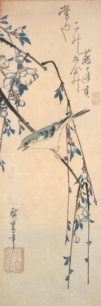 Bluetail czerwonoskrzydły na gałęzi wiśni autorstwa Utagawa Hiroshige