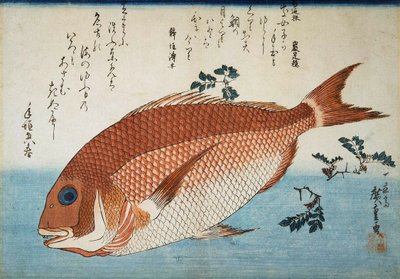 Dorada, 1832-1834. autorstwa Utagawa Hiroshige