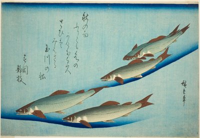 Pstrąg potokowy autorstwa Utagawa Hiroshige