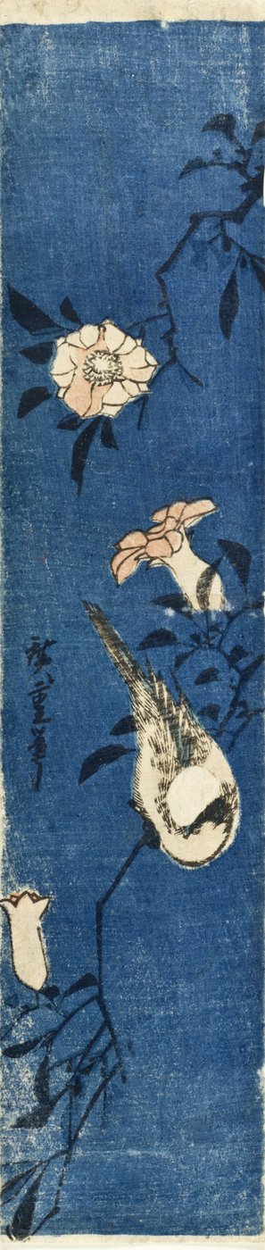 Würger auf Granatapfelzweig autorstwa Utagawa Hiroshige