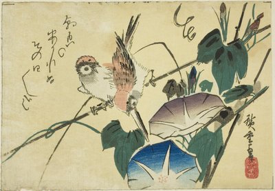 Wróble i powoju autorstwa Utagawa Hiroshige