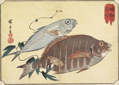 Lucjan pręgowany i ostrobok, początek XIX wieku autorstwa Utagawa Hiroshige