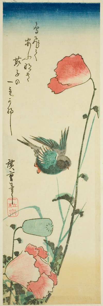 Jaskółka i maki autorstwa Utagawa Hiroshige