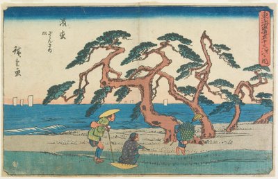 Pole sosen w Hamamatsu autorstwa Utagawa Hiroshige