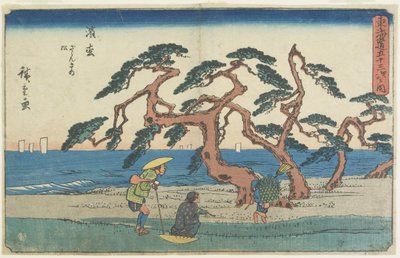 Pole sosnowe w Hamamatsu, 1841-1842 autorstwa Utagawa Hiroshige