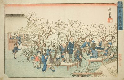 Ogród Śliwkowy w Komeido (Kameido ume yashiki no zu), z cyklu „Słynne miejsca we wschodniej stolicy (Toto meisho)” autorstwa Utagawa Hiroshige