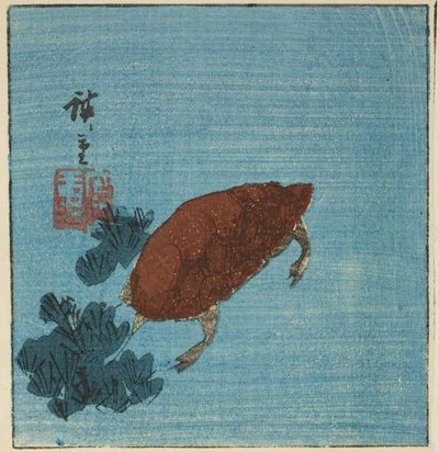 żółw autorstwa Utagawa Hiroshige