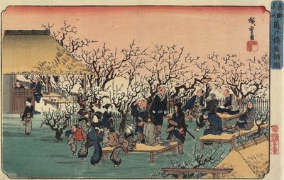 Widok na Ogród Śliwkowy w Kameido, 1832-1834 autorstwa Utagawa Hiroshige