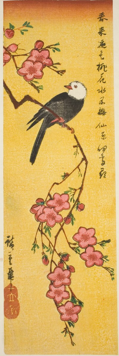 Białogłowy ptak na gałęzi brzoskwini autorstwa Utagawa Hiroshige