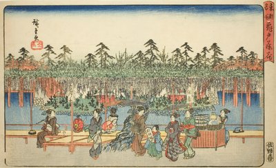 Wisteria w Kameido (Kameido Tenjin fuji hana), z serii „Słynne miejsca we wschodniej stolicy (Toto meisho)” autorstwa Utagawa Hiroshige
