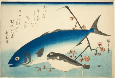 Żółć ogoniasty, rozdymka i śliwka gałązka autorstwa Utagawa Hiroshige