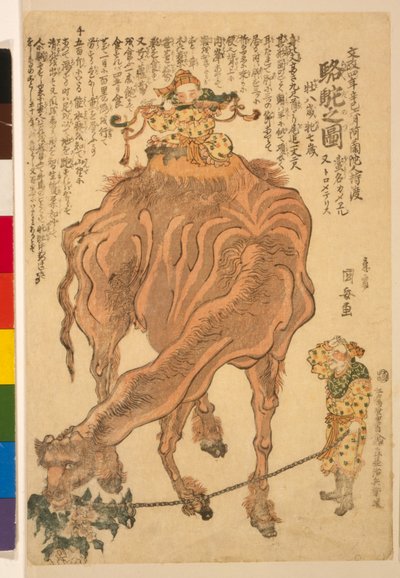 Wielbłąd, wyd. 1824 (drzew ręcznie kolorowany) autorstwa Utagawa Kuniyasu