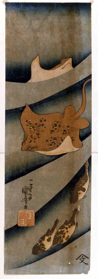 Ryciny Utagawy KUNIYOSHI (1797-1861) przedstawiające rybę. autorstwa Utagawa Kuniyoshi