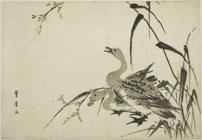 Dzikie gęsi i trzciny autorstwa Utagawa Toyohiro