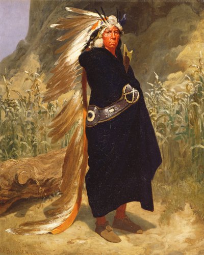 Portret wodza Indii, 1875 autorstwa Valentine Walter Lewis Bromley