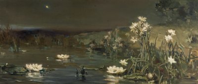 Gwiazda w nocy autorstwa Vasilii Kotarbinsky