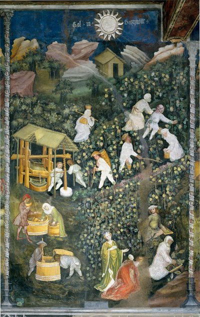 Październik: scena żniw, zbiór winogron i przygotowanie moutu (tłoczenie wina). Obraz Mistrza Miesiąca lub Mistrza Wacława (Maestro dei Mesi lub Maestro Wenceslao w języku włoskim, początek XV w.) odrestaurowany przez Marcello Fogolino około autorstwa Venceslao Maestro