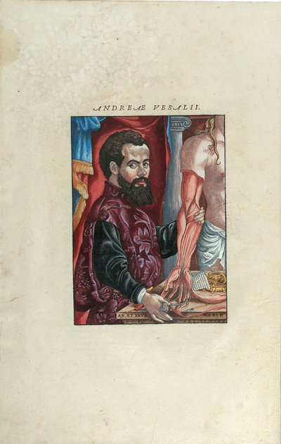 Portret Andreasa Starra z 