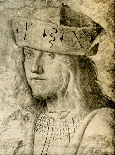 Młody szlachcic w czapce autorstwa Veronese School Veronese School
