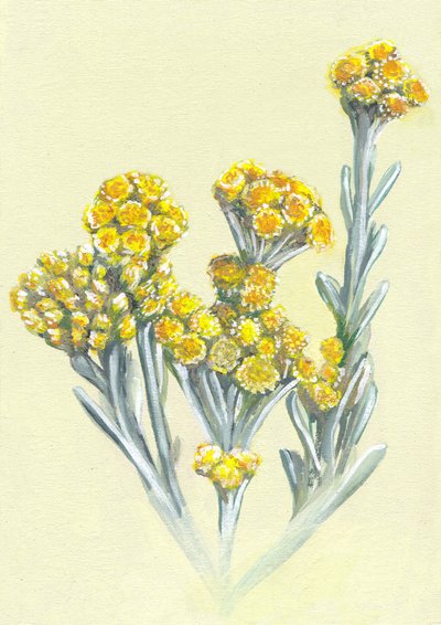  autorstwa Viccy Wanliss