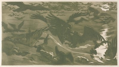 Drapieżne ptaki, 1893. autorstwa Victor Emile Prouve
