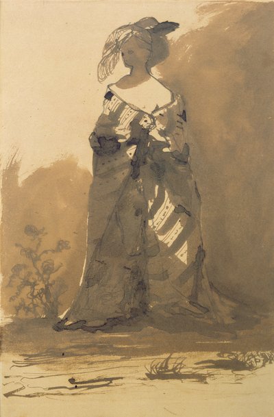 Kobieta ubrana w płaszcz i kapelusz z piórami (pióro, atrament i pranie na papierze) autorstwa Victor Hugo