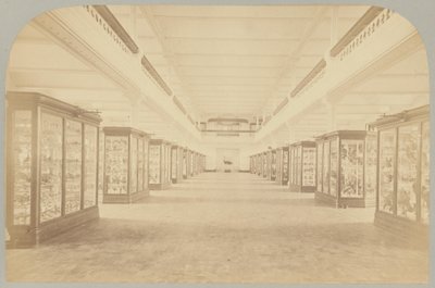 Pl. III. Główna historia: Ptaki autorstwa Victor Prevost, Gaston L. Feuardent and Co., New York