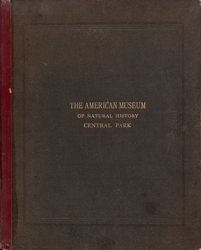 Album fotograficzny Amerykańskiego Muzeum Historii Naturalnej, Central Park, Nowy Jork autorstwa Victor Prevost, Gaston L. Feuardent and Co., New York