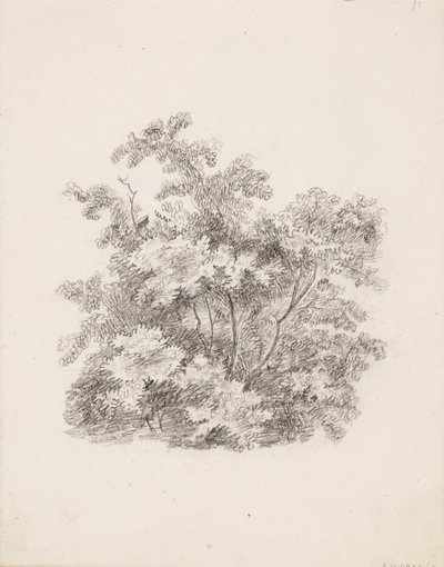 Krzewy autorstwa Victoria Åberg