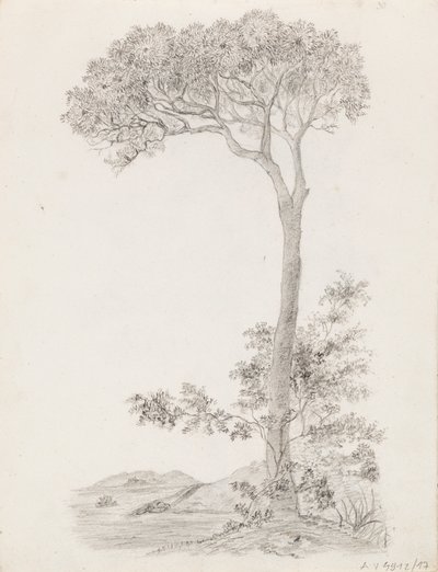 Drzewa autorstwa Victoria Åberg