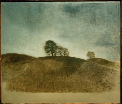 Dunkebakke, Frederiksvaerk autorstwa Vilhelm Hammershoi