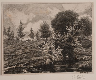 Wzgórza nad bagnami autorstwa Vilhelm Kyhn