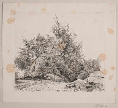 Duży kamyk autorstwa Vilhelm Kyhn