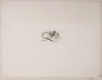 Głowa psa autorstwa Vilhelm Kyhn
