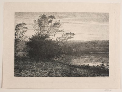Jezioro żyto autorstwa Vilhelm Kyhn