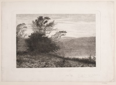 Jezioro żyto autorstwa Vilhelm Kyhn