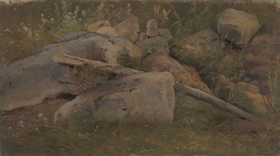 Badanie stosu kamieni autorstwa Vilhelm Petersen