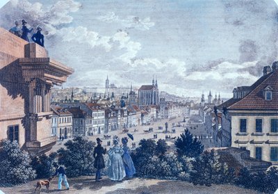 Targ koni na Placu Wacława, Praga, 1835 (kolorowa staloryt) autorstwa Vincenc and Geissler, F. Morstadt