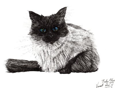 Baby blue eyes, 2015, (tusz na papierze) autorstwa Vincent Alexander Booth