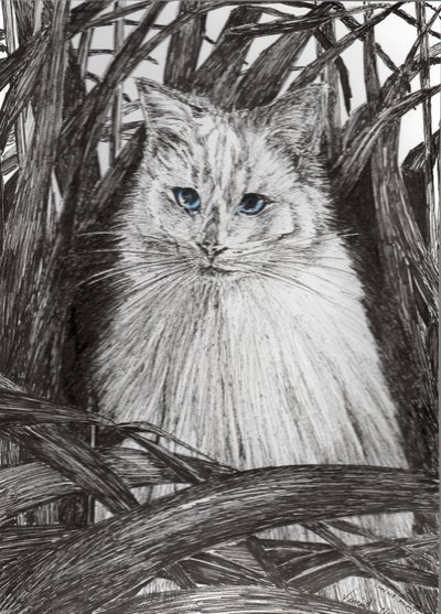 Jungle Monty, 2015, (tusz na papierze) autorstwa Vincent Alexander Booth