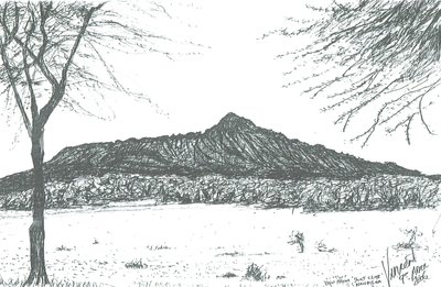 Góra z klubu łodziowego nad jeziorem Naivasha w Kenii; 2006 autorstwa Vincent Alexander Booth