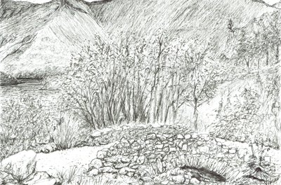 Stary kamienny most na Pojezierzu, 2005 autorstwa Vincent Alexander Booth
