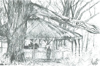Bar na świeżym powietrzu, jezioro Naivasha, 2006; (tusz na papierze) autorstwa Vincent Alexander Booth